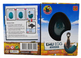 Growing Pet Emu Egg